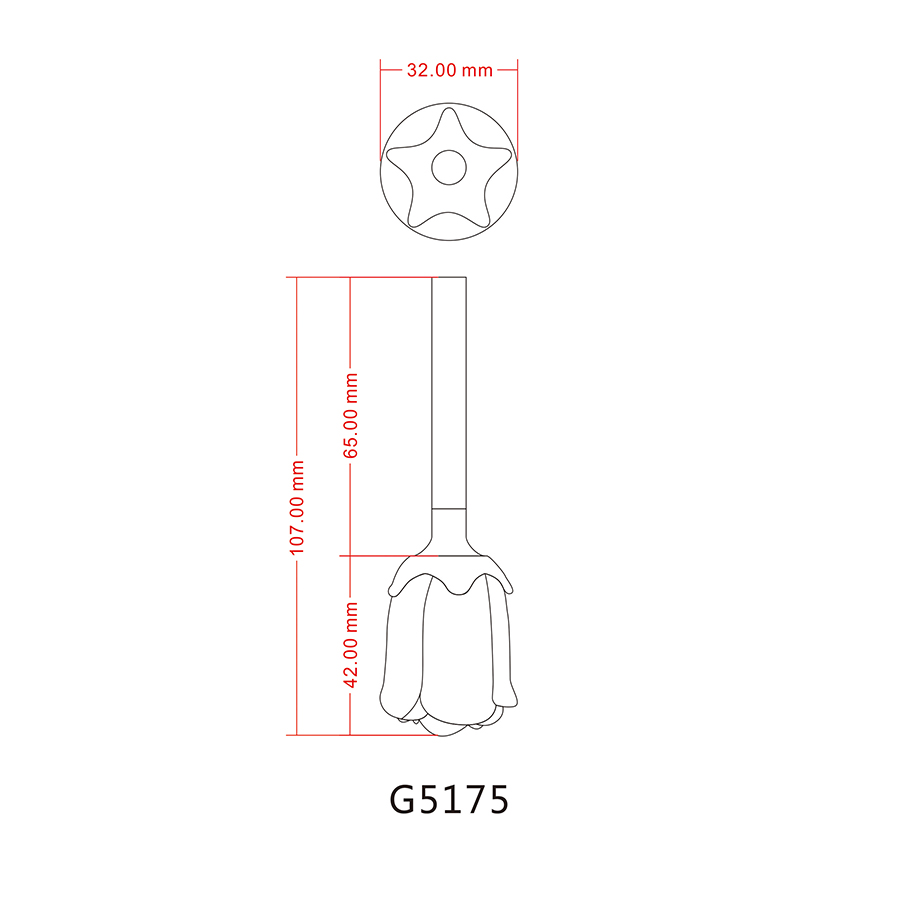 G5175.jpg